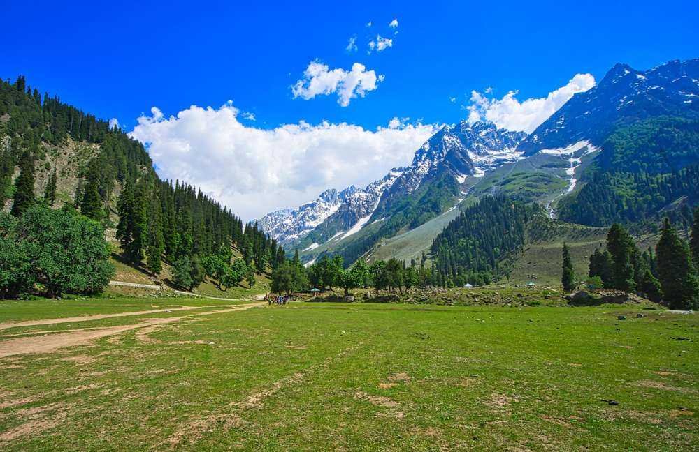 Sonamarg meadows
